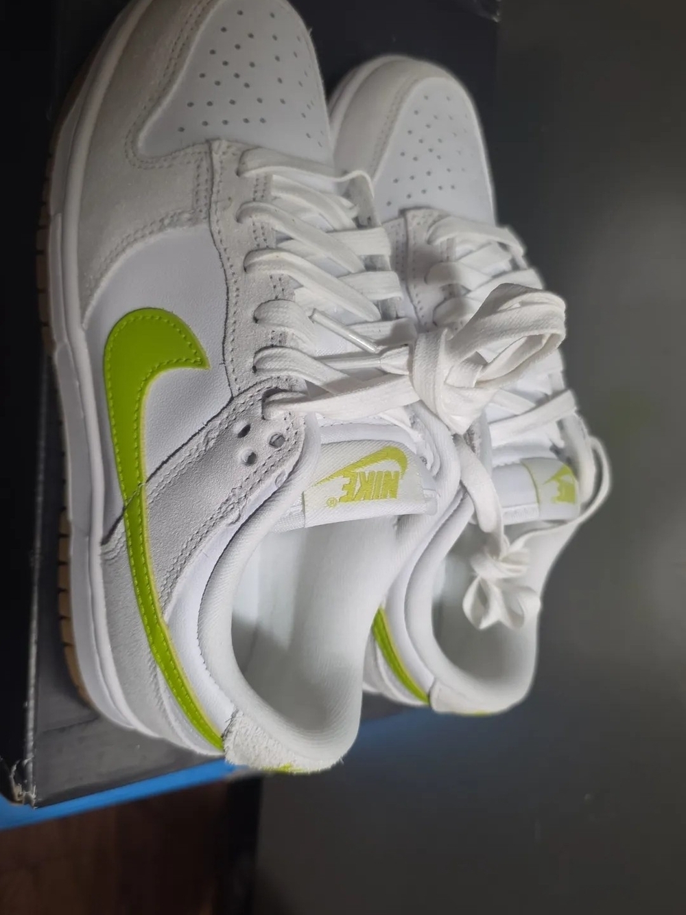 Bright Cactus Gum Dunk Low